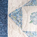 BERNINA Stitch Regulator (BSR) functionality on the BERNINA 580 Liberty Edition