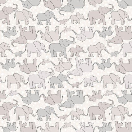 LI Special Delivery Elephants