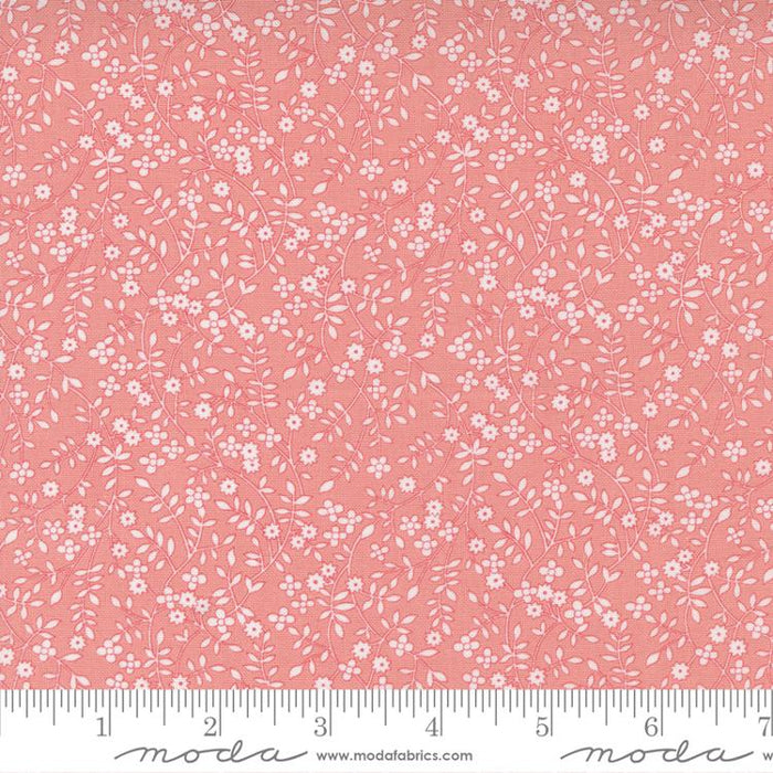 MO 30s Playtime Petal 33633 23