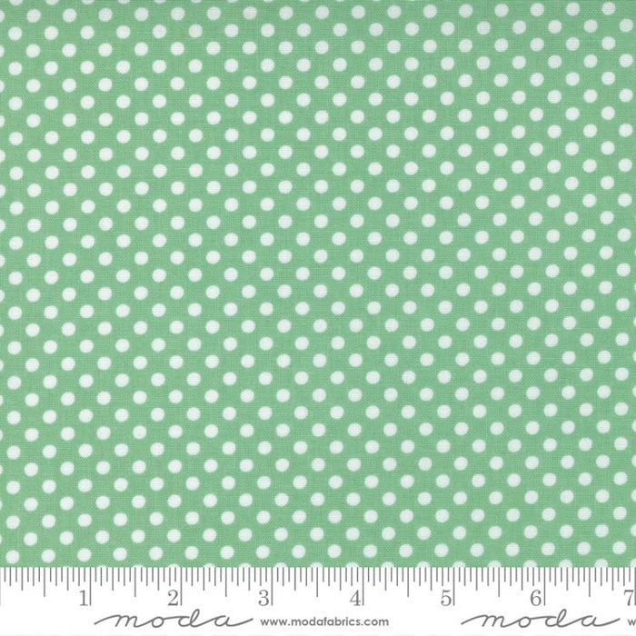 MO 30s Playtime Aloe 33637 15