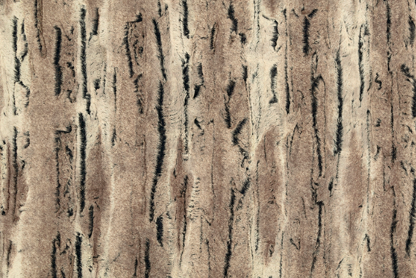 SF Luxe Cuddle Pewter/Beige Mountain Fox