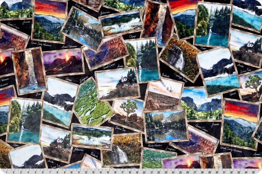 Multi Black National Parks Digital Cuddle Black Fabric per yard