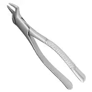 Dental Forcep #286