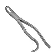 Dental Forcep #24