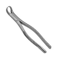 Dental Forcep #23