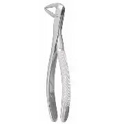 Dental Forcep #74N
