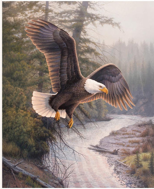 Majestic in Nature II Eagle Patriot Panel
