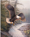 Majestic in Nature II Eagle Patriot Panel