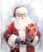 Picture a Christmas II A Christmas Gift Panel