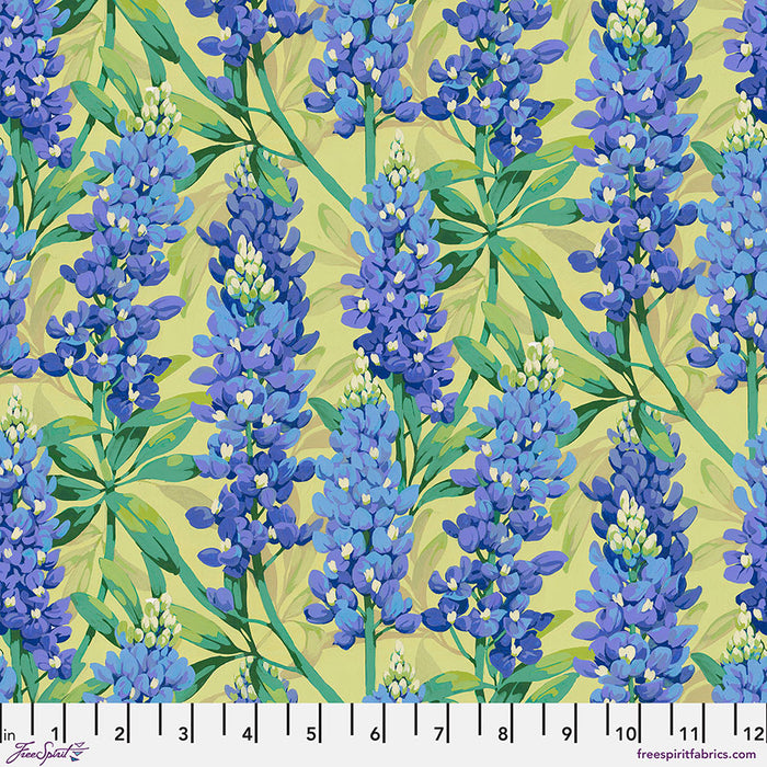 FS Bluebonnet - Blue Nation of Flowers
