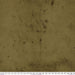 FS Provisions Moss Tim Holtz PWTH115