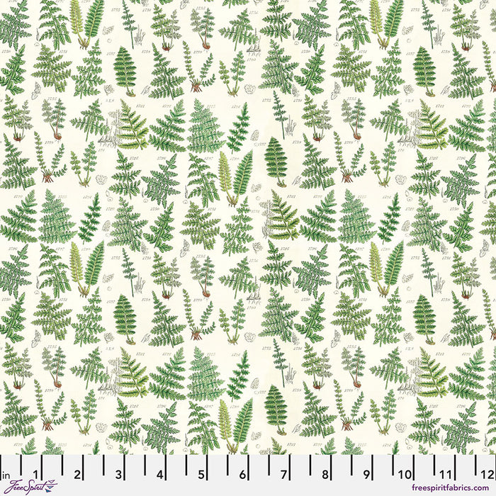 FS Green - Ferns Tim Holtz PWTH265
