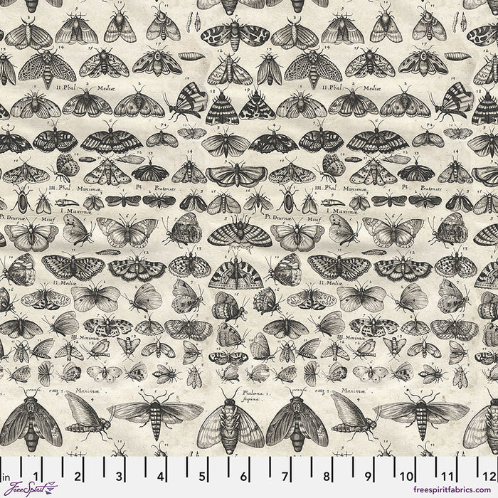 FS Charcoal Moths - Charcoal || Palette Charcoal-Tim Holtz