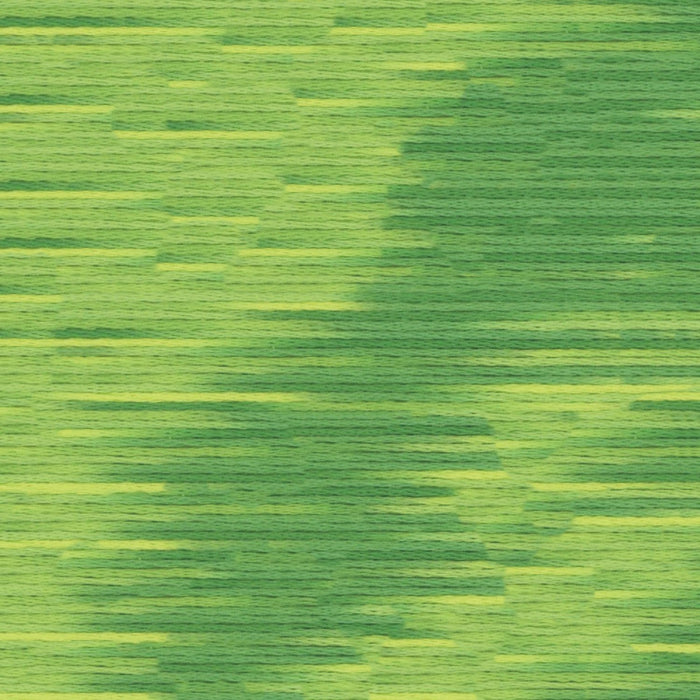 Cosmo Seasons Variegated Embroidery Floss