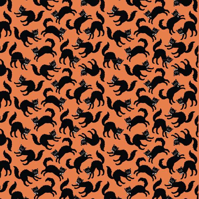 Sweet Tooth - Scaredy Cat - Orange