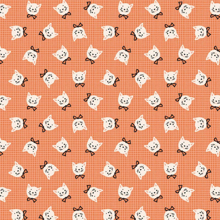 Sweet Tooth - Kitty Box - Orange