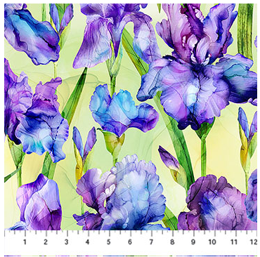 NC Infatuation Iris Feature Green Multi