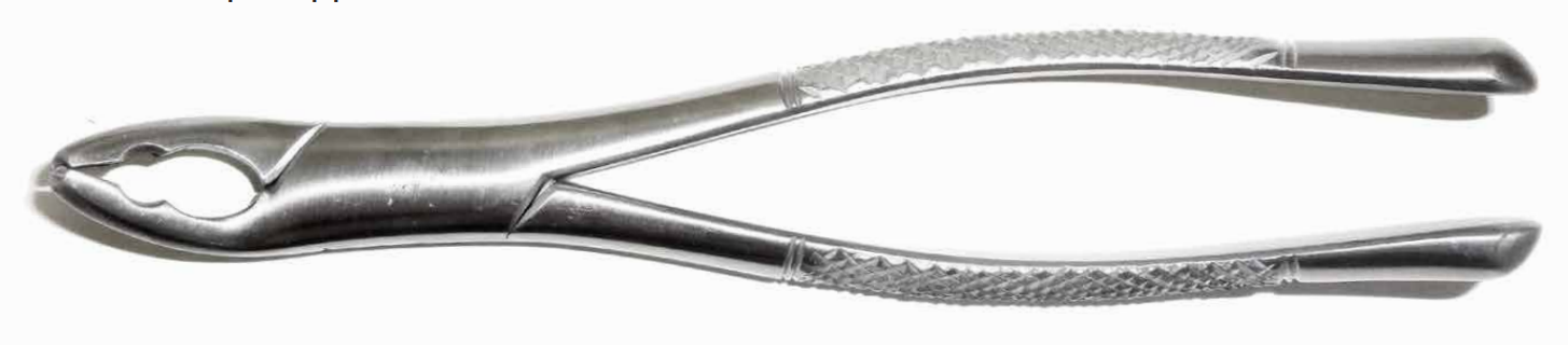 Dental Forcep #151AS