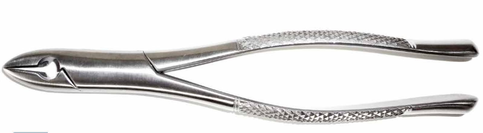 Dental Forcep #1