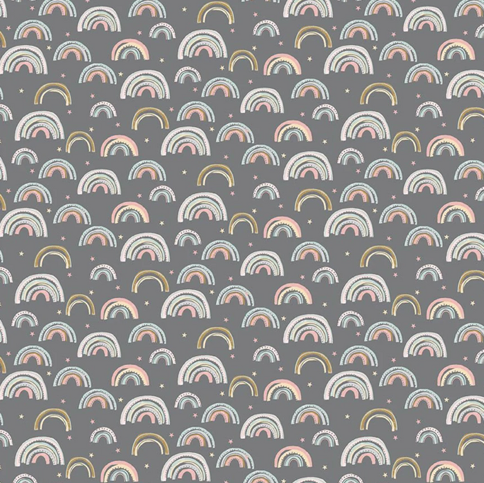 DS F2621 Iron Rainbows