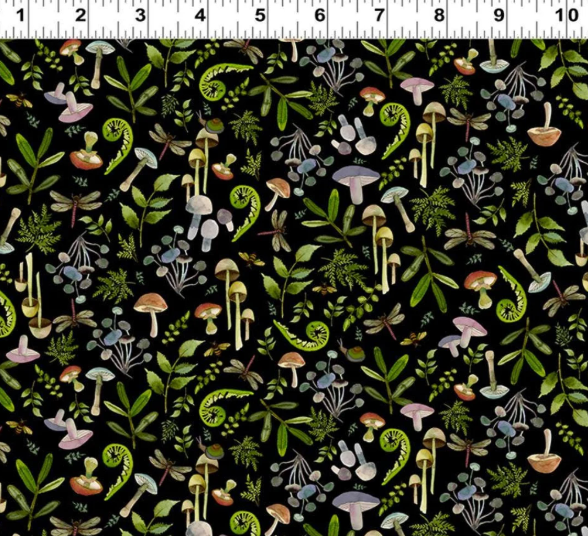 CW Wild Wonder Black