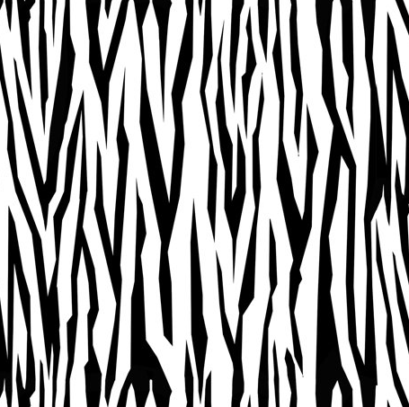 QT Tiger tails Black and White