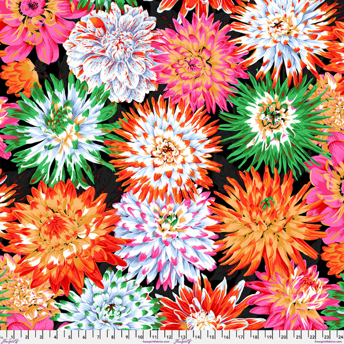FS K. Fassett Cactus Dahlia Contrast