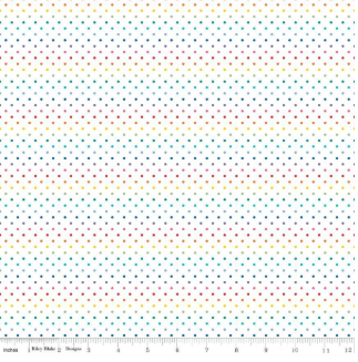 RB Swiss Dot on White Rainbow
