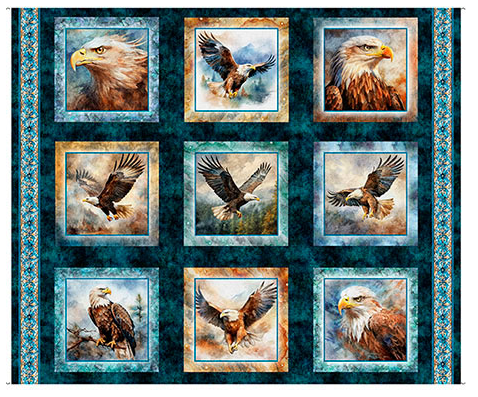 QT Eagle Picture Patches Midnight Skyward