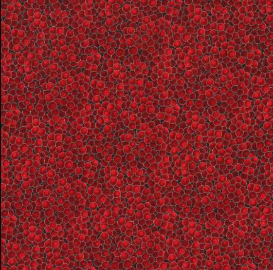 HO Red/Silver Brilliant Blender w/Metallic Christmas