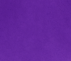 SF Purple Solid Cuddle
