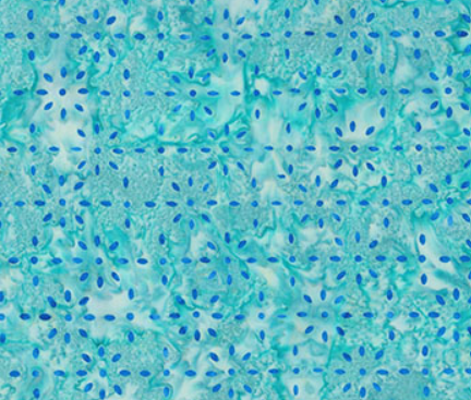 NC Celebrating 250 Years Small Burst Blue Green