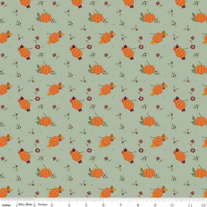 The Awe of Autumn Pumpkins Hazy 43"/44" Fabric Per Yard