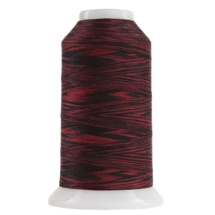 9017 Ladybug Omni Variegated Polyester Thread