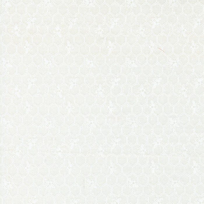 MO Wild Honey 5250 21