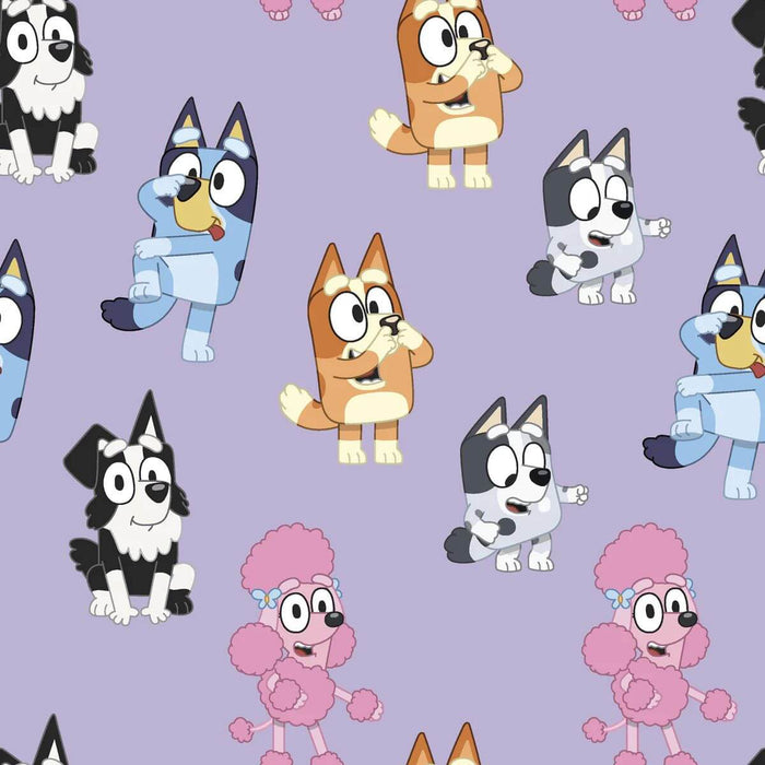 Bluey & Friends - Playful