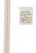 Zippers by the Yard Ivory