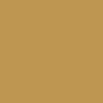 HO 24/7 Solids T4878 624 Gold Ochre