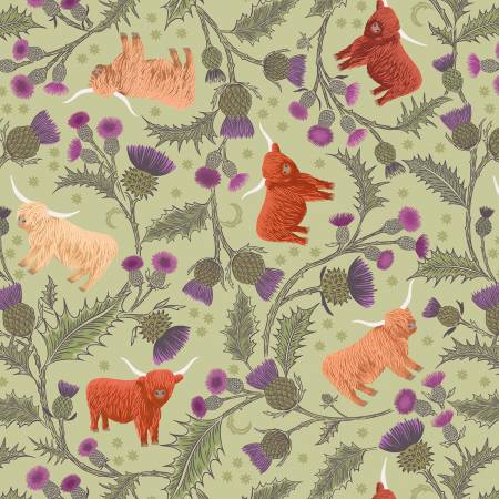 LI Highland cow and thistle on soft apple A873
