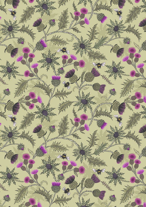 LI Highlands Cows Thistle on Green A875
