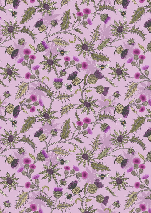 LI Highlands Cows Thistle on Lavendar A875