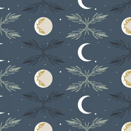 CS Camp Creek AC100-NI1 Harvest Moon Night