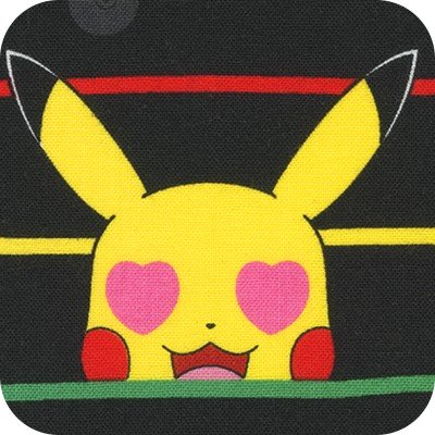 RK Pokemon 74850 2 Black