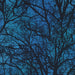 RK Raven Moon 19486 282 Spooky
