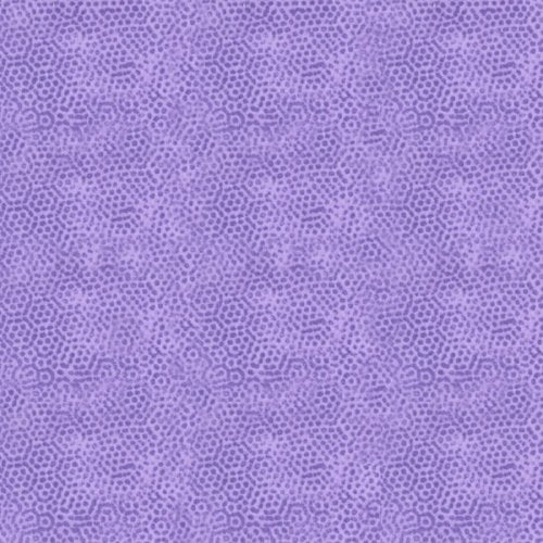 AN Dimples 1867 P4