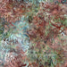 TT Tonga Earth B8825 Jungle Play 