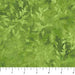 NC Essence Wide Backing B9025-77