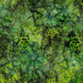 RB Batiks Expressions Tjaps Meadow