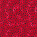TT Watermelon Seeds Red 
