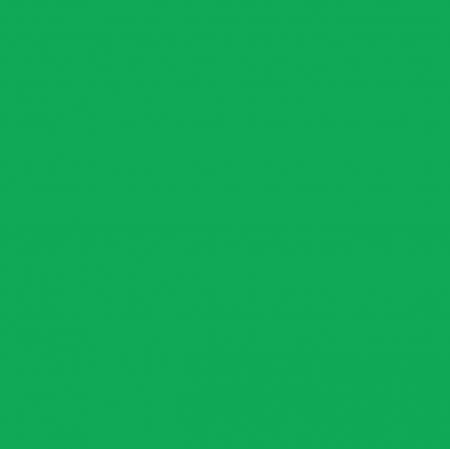 RB Confetti Cotton Solid In Color Emerald City